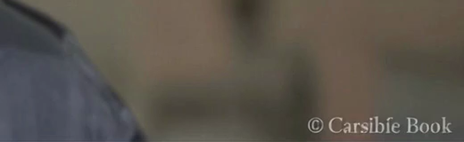 Corner crop of an AI-generated video frame showing a fabricated copyright credit for an entity we could find no record of.